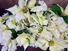 Poinsettia silk flower for sale  Saint Paris