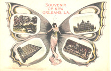 1908 butterfly souvenir for sale  Baton Rouge