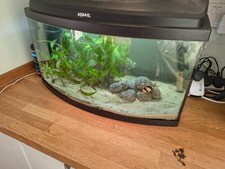 Instant aquarium aquael for sale  BROMLEY