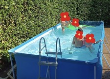Bestway piscina fuori usato  Sommacampagna