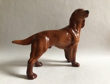 Red irish setter for sale  UK