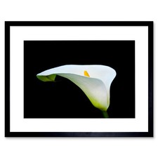 Photo macro nature for sale  EDINBURGH