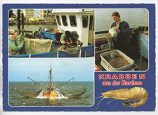 krabbenfischer gebraucht kaufen  Schwerin