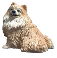 Living stone pomeranian for sale  Findlay
