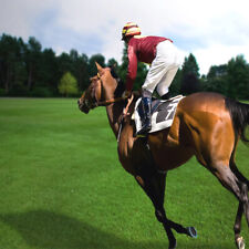 Méthode turf gagner d'occasion Méthode turf gagner d'occasion  France