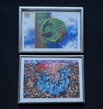 Pair framed signed for sale  HORSHAM