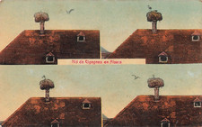 Nid cigognes alsace d'occasion  Vasles