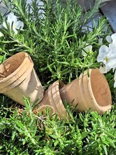 Blumentopf übertopf terrakott gebraucht kaufen  Neustadt/Dosse