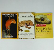 Crested gecko captivity for sale  GUILDFORD