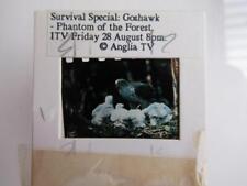 Goshawk slide good for sale  UK