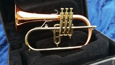 flugelhorn usato flugelhorn usato Ivrea