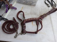 Used buckstitched halter for sale  Taylor