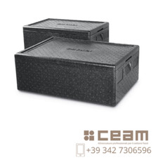 Box termico profi usato  Marina di Gioiosa Ionica