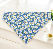 Blue daisy dog for sale  Woodstock