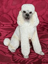 Leonardo poodle dog for sale  STOKE-ON-TRENT