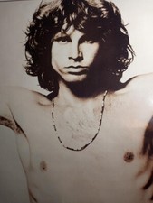 Doors concert poster for sale  York