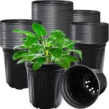 Pack gallon nursery for sale  Sandpoint