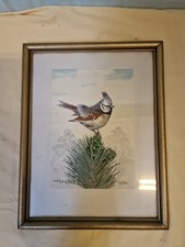 aquarell vogel gebraucht kaufen aquarell vogel gebraucht kaufen Plauen