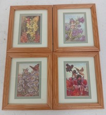 flower fairy prints for sale flower fairy prints for sale RUGBY