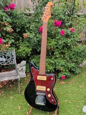 Hodson jazzcat deluxe for sale Hodson jazzcat deluxe for sale  KINGSTON UPON THAMES
