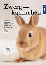 Zwergkaninchen gebraucht kaufen  Berlin