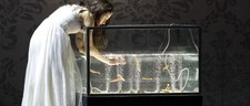 Tickets rusalka nationaltheate gebraucht kaufen  München