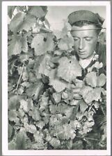 Arbois carte publicitaire d'occasion  Lunel