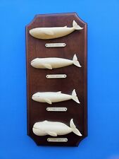Artek whales walnut for sale  Santee