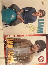 Liam payne niall for sale  Eugene