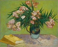 Oleanders vincent van for sale  Amesbury