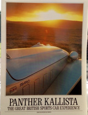 Panther kallista sales for sale  GRIMSBY