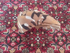 Kangol cap mütze gebraucht kaufen  Viernheim