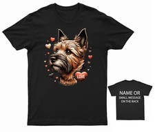 Norfolk terrier love for sale  BRISTOL