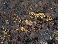 Gold ged gold gebraucht kaufen  Grimma
