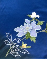 Ayane peonies japanese for sale  HATFIELD