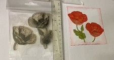 Poppies stamp card for sale  SPALDING