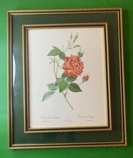 Vintage lithograph pink for sale  KESWICK