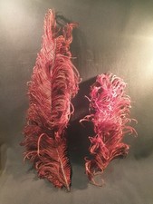 Plumes autruche rouge d'occasion  Craponne-sur-Arzon