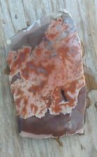 teepee canyon agate for sale  La Farge