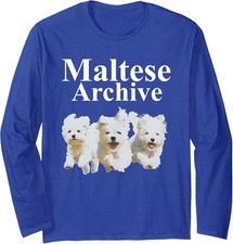 Cute dog maltese for sale  Amityville