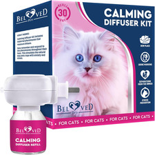 Beloved pets cat for sale  Denver