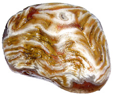 Lake superior agate for sale  Duluth