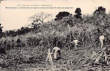 Martinique culture canne d'occasion  France