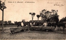 Torino campo maurizio usato  Asti