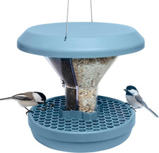 lalique uccellini usato  Roma