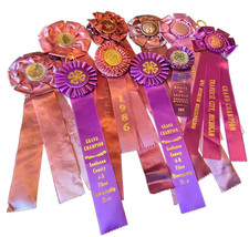 Lote de 10 rosetas de fitas de show de cavalos dos anos 1960-90 ROXAS Michigan Kentucky Flórida TN comprar usado  Enviando para Brazil