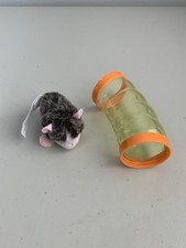 Generation pet guinea for sale  Saint Paul