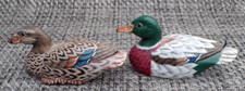 Quality drake hen for sale  Norton