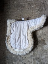 Griffin white horse for sale  EYE