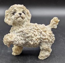 Bichon frise white for sale  Poulsbo